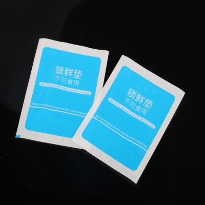 China Uper protection food grade and eco-friendly absorbent ice packs to keep food fresh for sale