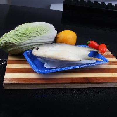 China Food Grade And Eco - Friendly Frozen Cold Packs Ice Absorbent Pad For Fresh Food for sale