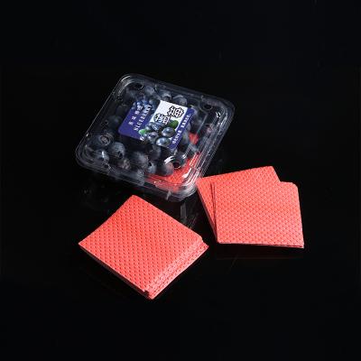 China Food Grade And Eco-friendly Strawberry Raspberry Blueberry Fruit Soaker Customized Pad For Fruit Tray for sale