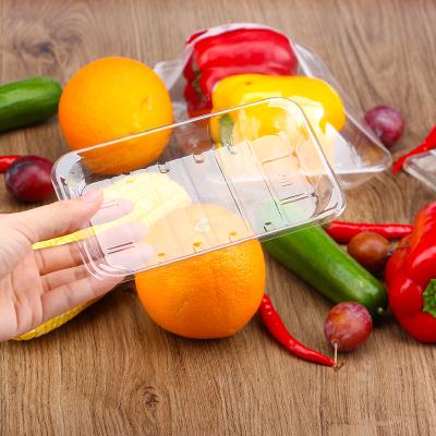 China Tray For Meat And Frozen Disposable Clear Disposable Plastic Food Wrap for sale