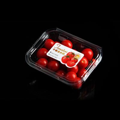 China Recyclable Recyclable Clamshell Plastic Clear Box For Supermarket Fruit Grape Cherry Tomatoes Packaging for sale