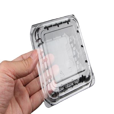 China Recyclable Disposable Clamshell Rectangle Clear Plastic Box For Fruit Tray Package Box for sale