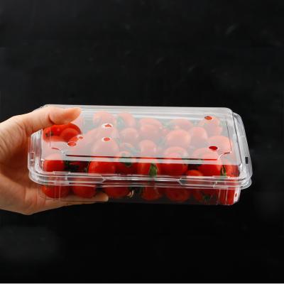 China Recyclable Manufacturing Disposable Plastic Clear Clamshell Box For Supermarket Fruit Packing Box for sale