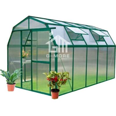 China Vegetable Flowers G-MORE Hotsale Low Cost Fruit Aluminum Polycarbonate Garden Greenhouse Kit for sale