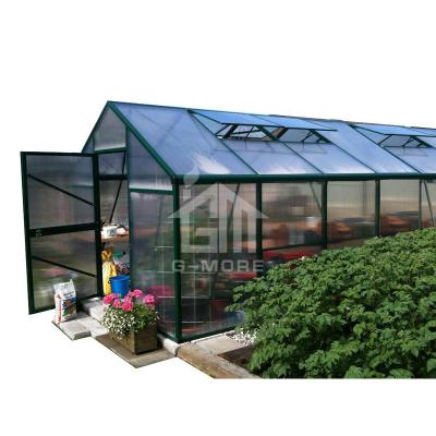 China G-MORE Easily Assembled 10' X 20' 10MM Polycarbonate Greenhouse for sale