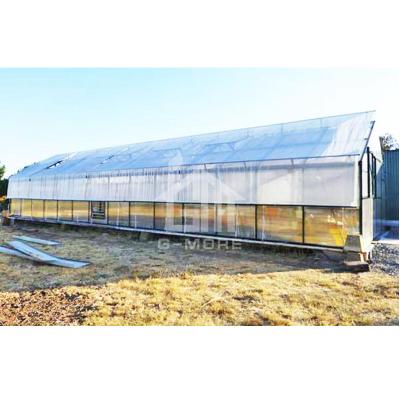 China Easily Assembled G-MORE Titan / Barn Series, 4M Width /14M Length, 4 Seasons Aluminum / 10MM Polycarbonate Super Strong Farmhouse Greenhouse (GM32414-B) for sale