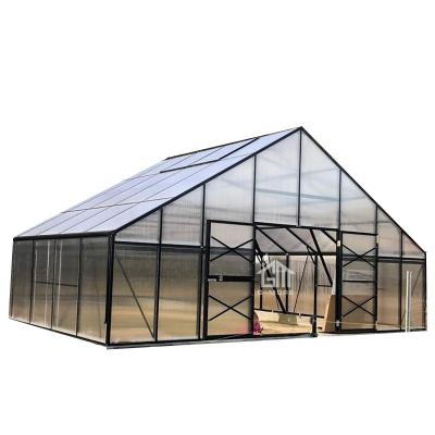 China Aluminum/Black Powder Coating G-MORE Grand Large/23'x13' 7M Wide Luxury Commercial Greenhouse OEM/ODM Customized Green House for sale