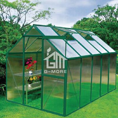 China G-MORE Winter Used Garden Greenhouse Easily Assembled Hobby for sale