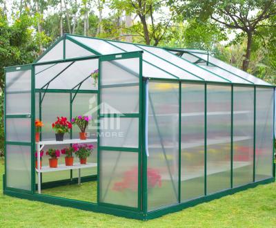 China G-MORE Affordable Low Cost Easily Assembled Easy Installation 8' x10 Polycarbonate Greenhouse For Veggies Fruits Planthouse Drivhus for sale