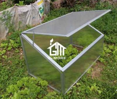 China G-MORE Layers Chassis Heavy Duty Aluminum Framed 4mm Greenhouse Easily Assembled / Small Mini Greenhouse Garden Tent for sale