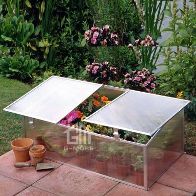 China G-MORE Mini Cold Frame Portable Greenhouse Easily Assembled Lightweight With Double Opening Vents / Cheap Growbox 3MM Greenhouse For Promotion for sale