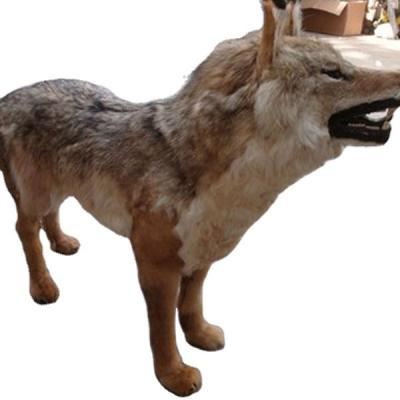 China Fashion Natural World Stuffed Plush Lifelike Animal Sounds Toy Customized Size Wolf for sale