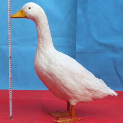 China Fashion Stuffed Animal Stuffed Faux Fur Animal Toys Hot Selling Adorable Mini Plastic Simulation Decorative Duck for sale