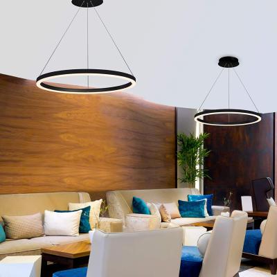 China NEW EUROPEAN Hlinear Round Linear Ceiling Modern Led Pendant Light Fixture for sale