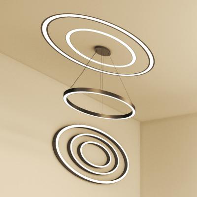 China EUROPEAN Hlinear Hot Sale Oval Shape Light Ceiling Led Linear Light Round for sale