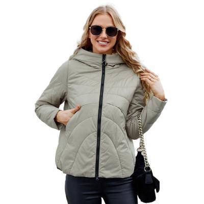 China Waterproof Ladies Winter Bomber Jacket Coats For Women Cotton Coats Pubble Stripper Crop Top Jacket Winter Hooded Coats for sale