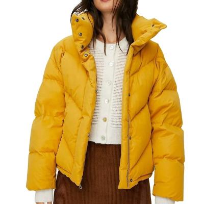 China Women Breathable Down Coats Winter Goose Down Extra Short Winter White Duck Atri Cloud Down Crop Stripper Jacket For Ladies for sale