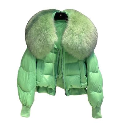 China Breathable 2023 Luxury Extra Short Coats Winter Windproof Insulated Coat Down Coat Female Fur Collar For Women for sale