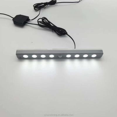 China Indoor Human Body Sensor LED Cabinet Lamp 110lm 2835SMD Light for 12v Bracket Mount for sale