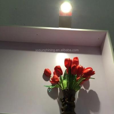 China 180lm Luminous Flux LED Over Cabinet Wardrobe Lighting for Wall Mounted Picture and Shelf for sale