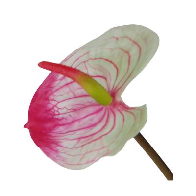 China Hot Selling Real Touch Wholesale Minimalist Artificial Plastic Anthurium Flowers For Wedding Party Decoration Home Table for sale