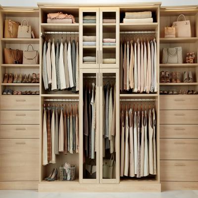 China China Customized Easy Fitted Walk In Closet Bedroom Plywood Design Luxury Wardrobe for sale