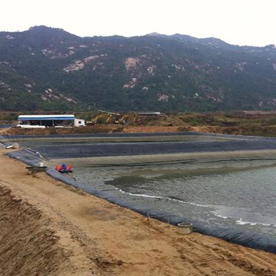 China Chinese HDPE Basin Geomembrane UV Treated Pond Lining Plastic Lotus Membrane Liner For Shrimp Fish Farm for sale