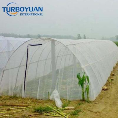 China Greenhouse Insect Control Agricultural UV Protect Transparent Plastic Greenhouse Insect Proof Mesh Netting For Fruit Tree for sale