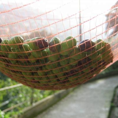 China For Fruit Olive Gathering Gathering Nets Orchard Fruit Tree Harvest Olive Mesh Netting HDPE Plastic Gathering Olive Nets for sale