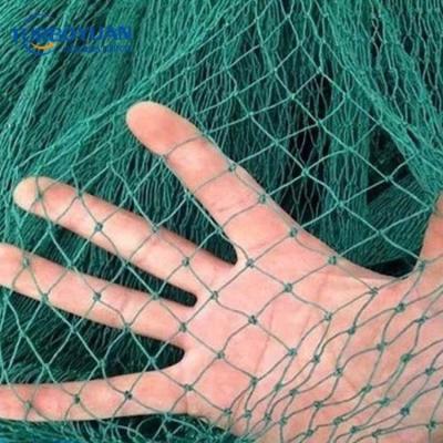 China Anti hail garden bird net netting, rose bud net, pe vineyard anti bird trapping net for sale