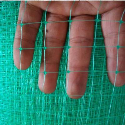 China Anti hail net anti-bird green wire mesh nets / agricultural garden birds netting for vineyard for sale