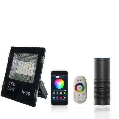 China 20w 30W 50W IP65 RGBW 20w 30W 50W IP65 Smart Floodlight LANDSCAPE LED Floodlight Dimmable Wifi+BLE Wireless Floodlight Panel for sale