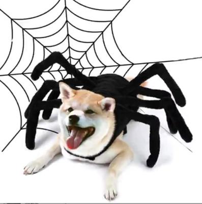 China New Viable Halloween Pet Chest Dog Spider Cat Creative Back Costumes Can Be Transformed for sale