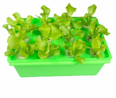 China Easily Assembled Box Shaped Soilless Growing Equipment For Hydroponic Vegetables for sale