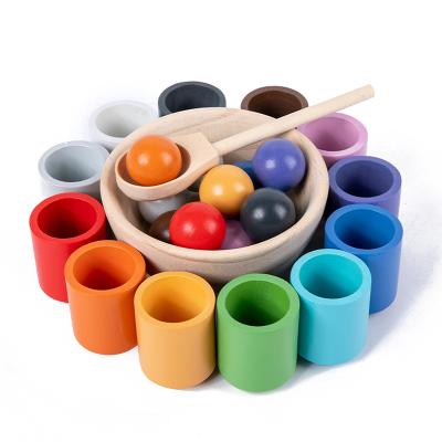 China Wooden Balls in Cups Montessori Toy Wooden Sorter Game 12 Balls 30mm Color Matching and Counting Preschool Learning Education for sale