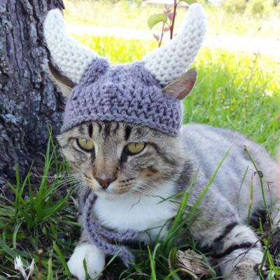 China Cute Viable Pet Funny Dress Acrylic Pet Cat Dog Hat Warm Winter Knitted Hat For Cat Pet Accessories for sale