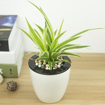 China Home Decor PP Creative Round Flower Pot Bonsai Plant Europe Automatic Hydroponics Planting Pot and Table Desktop Lazy Flowerpots for sale