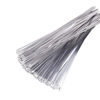 China Heavy Duty Steel SS 304 /316/201 Sprayed Lock Metal Self Locking Zip Tie Stainless Steel Cable Tie for sale