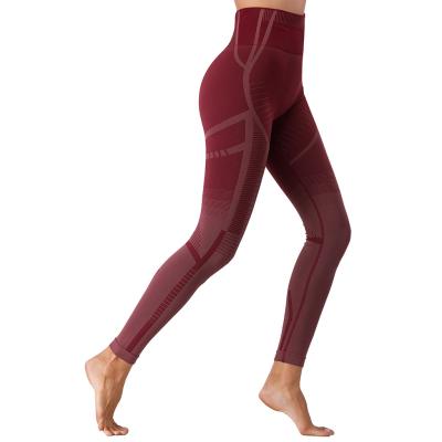 China Breathable 2021 Plum Womans Plus Size Yoga Gaiters Sports Yoga Pants for sale