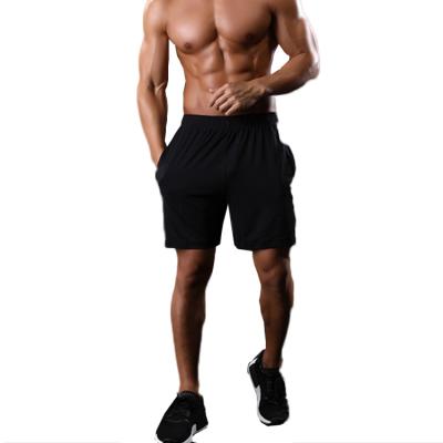 China Anti-Wrinkle Shorts Gym Workout Shorts OEM Service Tracksuit Men Shorts Mens Gym Wear Fitness Clothing for sale