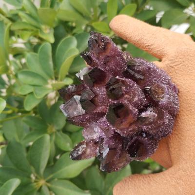 China 2022 China Wholesale Healing Dark Purple Amethyst Crystal Cluster 8-10cm High Quality Crystal Cluster For Statement for sale