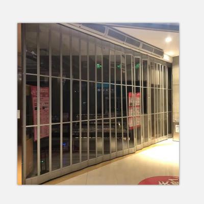 China Swing Transparent And Elegant Polycarbonate Folding Door For Large Commercial Premises for sale