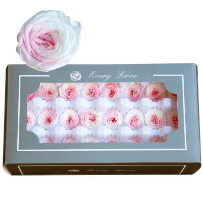 China Natural Touch 21pcs/Box Austin Austin Rose Preserved Flower Artifical Small Flower Heads Bulk Rose Head Artificial Flowers for sale