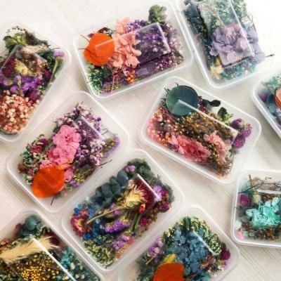 China Natural Touch Handmade Crafts Real Natural Mixed Multiple Boxed Accessories Preserved Dry Flower For Herbarium Epoxy Resin Candle for sale