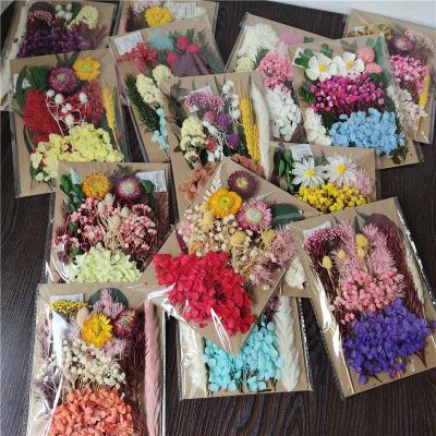 China Eterna 1 Eterna 1 Epoxy Resin Necklace Pendant Craft Floral Natural Touch Preserved Diy Bag Flower Dry Plant For Aromatherapy Candle for sale