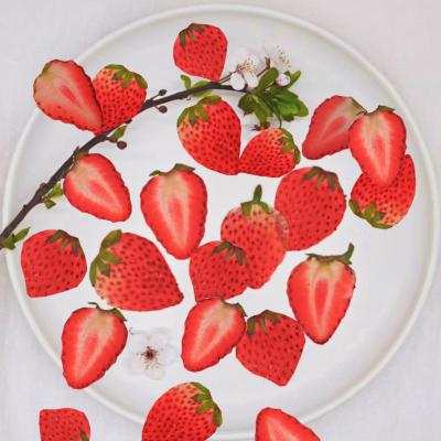 China Real Natural Touch Dry Pressed Fruit Pressed Strawberry Fruit Slices For Nail Art Crafts Decors DIY Candle Resin Jewelry Pendant for sale