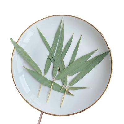 China Real natural touch flower dry pressed bamboo leaf for sale