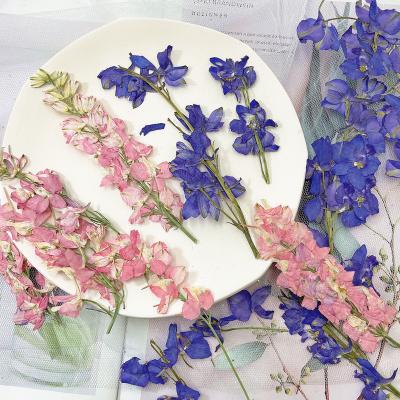 China Real natural touch dry pressed flowers for sale with branches for sale