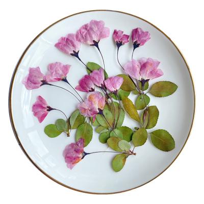 China Natural Touch Pressed Dried Flowers Plant Dry Making Craft For Real Artificial Flower For Home Decorations Dried Flowers For Nails for sale