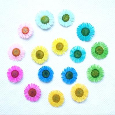 China Real Natural Touch Flower Needle Chrysanthemum Dry Pressed Various Colors for sale